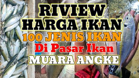 Riview Jenis Ikan Di Pasar Ikan Muara Angke Youtube