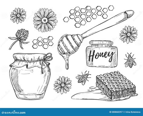 Honey Making Hand Drawn Illustrations Set Stock Vector Illustration