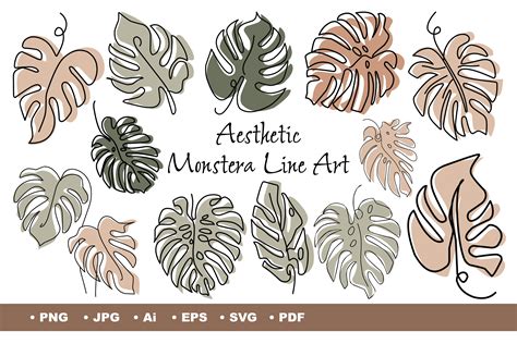 Aesthetic Monstera Line Art Graphic By Aleeza Design Creative Fabrica