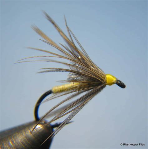 Top 10 Dry Flies For July