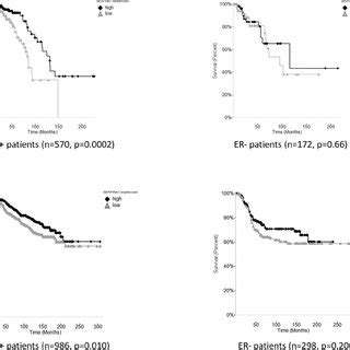 Serpina Expression Level Is A Predictive Marker For Er Breast Cancer