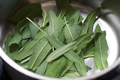 Top 8 Substitutes For Savory Substitute Cooking