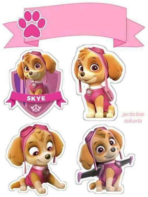 Paw Patrol Abc En Rosa Con Skye Y Everest Brasão Patrulha Canina Decorações Da Patrulha