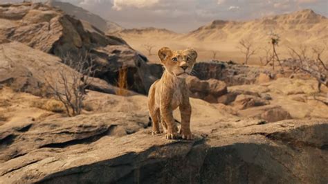 The Mufasa And The Fur Ious Disneys Lion King Prequel Trailer Brings