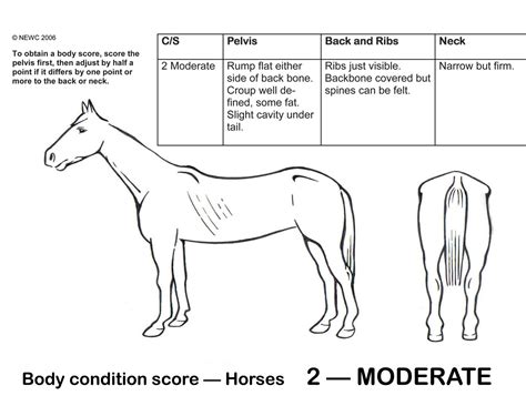 Printable Horse Body Condition Score Chart