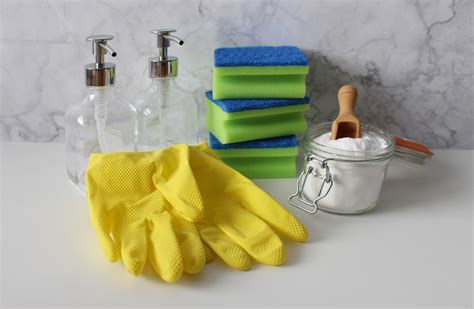 Why Should You Hire Professional House Cleaning Services Mom Does Reviews