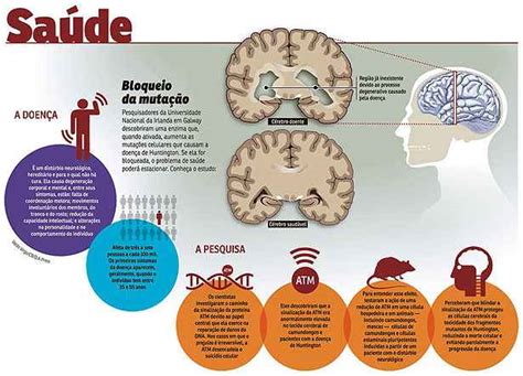 Cientistas Descobrem Como Frear Avanço Da Doença De Huntington Uai Saúde