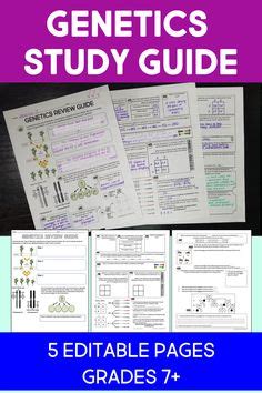 Genetics Study Guide For Your Genetics Unit Covers Mendel S Laws