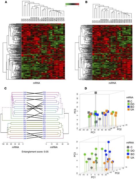 Jci Insight Characterization Of Mirna Regulated Networks Hubs Of