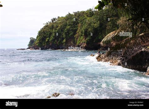 The Pacific Ocean At Onomea Bay In Papaikou Hawaii Lined With Cliffs