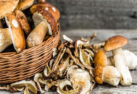 In Seven Steps Here’s How To Dry Mushrooms That Will Last All Year Stuffed Mushrooms Food