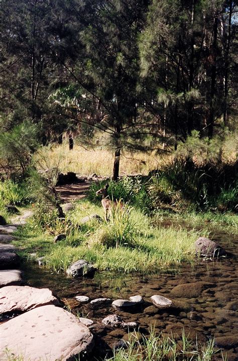 Goin Feral One Day At A Time Melbourne To Carnarvon National Park