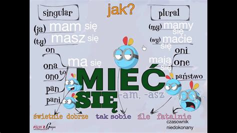 Polish For Beginners Jak Się Masz How Are You Conjugation Of The