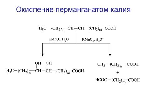 Липиды, биологическая роль, классификация - презентация онлайн