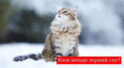 До кінця вересня в Україні випаде перший сніг: прогноз синоптика