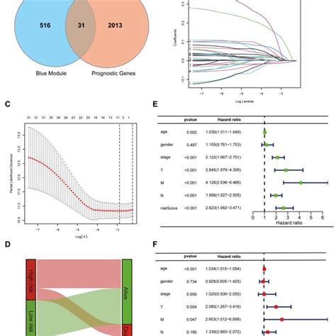 Construction And Validation Of The Cuproptosis Related Gene Signature