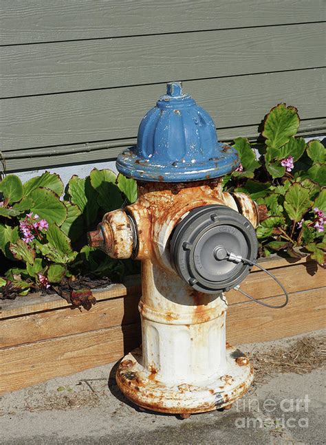 Fire Hydrant Photograph By Jonathan Lingel Fine Art America