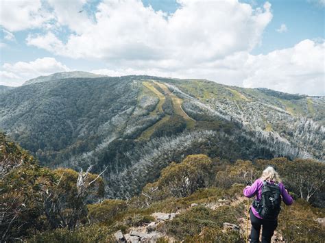 Mount Buller Hikes Guide To The Summer Season Beyond Wild Places