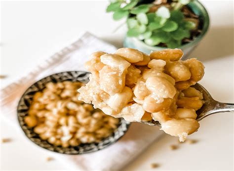 New Double Fermented Soy Sauce Fermenteddiet