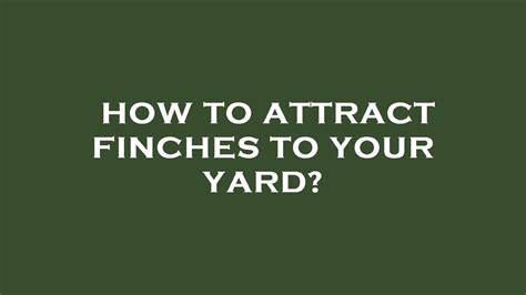 How To Attract Finches To Your Yard YouTube