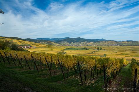 Alsace Automnale Vigne En Automne Vall E De Kaysersberg Christian