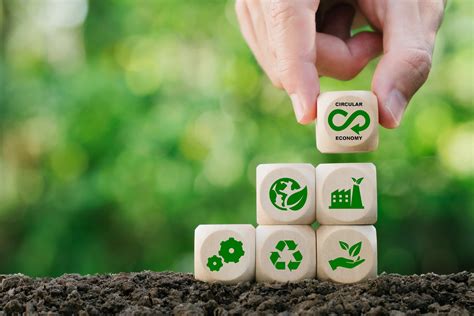 Circular Economy: Transforming the Sustainable Future - Sharpei