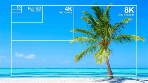 Video Resolution What Is Video Resolution Guide To Display Resolution