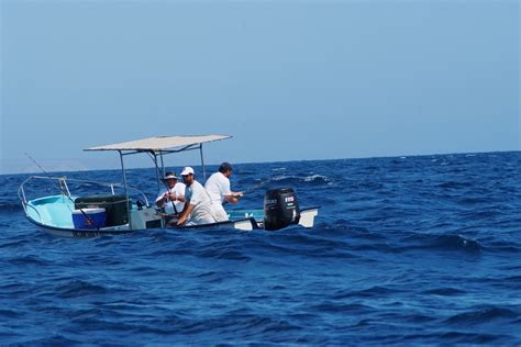 Ensenada Reinicia Pesca Deportiva Con Nuevos Protocolos Peri Dico Viaje