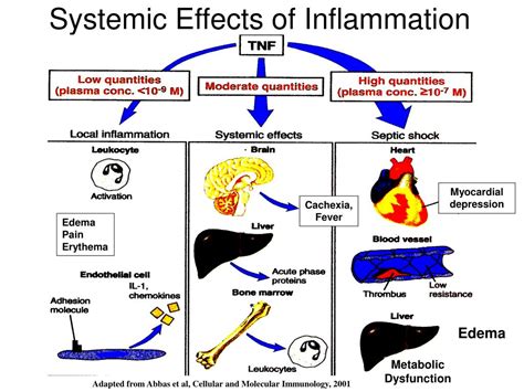 PPT Inflammatory Response Current Concepts PowerPoint Presentation