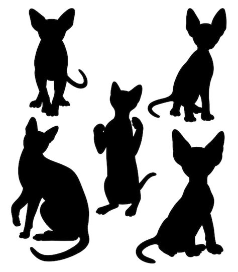 Silueta De Gesto De Gato Negro Vector Premium