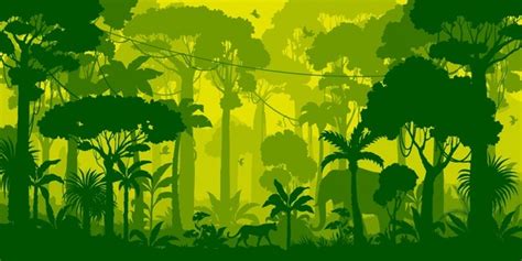 7846 Amazon Forest 库存矢量图和艺术矢量图 Shutterstock