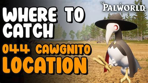 Cawgnito Location Paldeck 044 Palworld YouTube