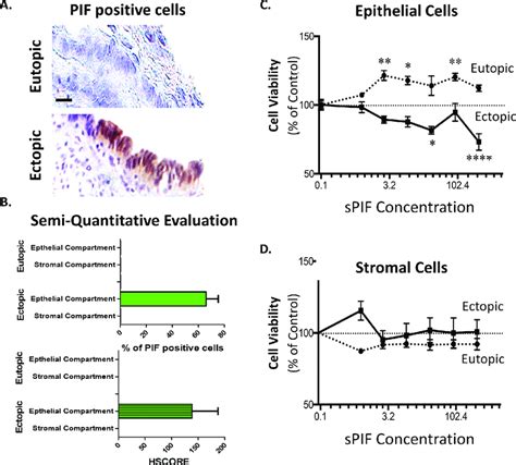 Pif Re Expresses In Epithelial Ectopic Cells And Modulates Cell Download Scientific Diagram