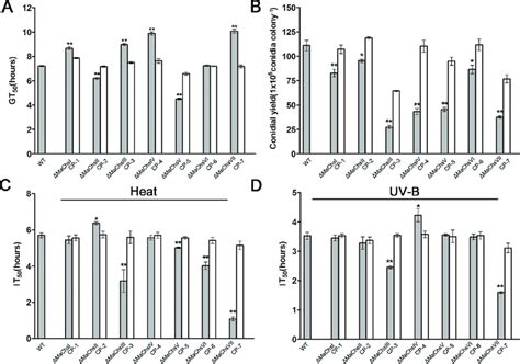 Measurement Of Conidial Germination And Yield And Fungal Stress