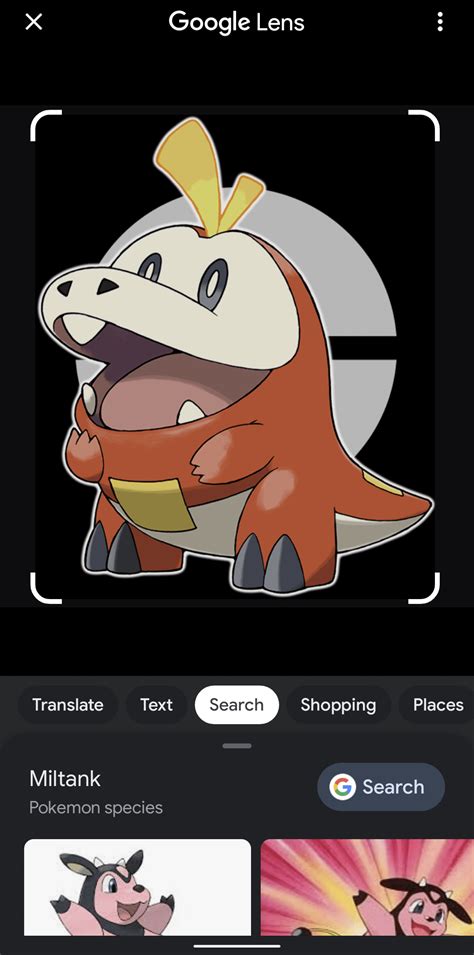 Hmm Yes The New Miltank Pre Evolution Rpokemon