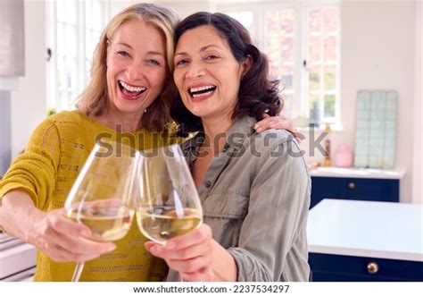 Portrait Same Sex Mature Female Couple Stock Photo