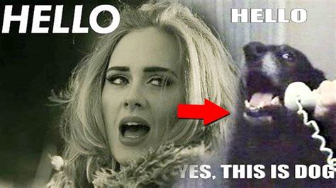 Top 10 Funny Adele Hello Memes Pictures Youtube