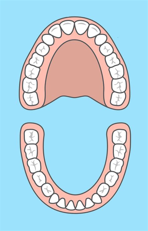 Enfants Dentilay