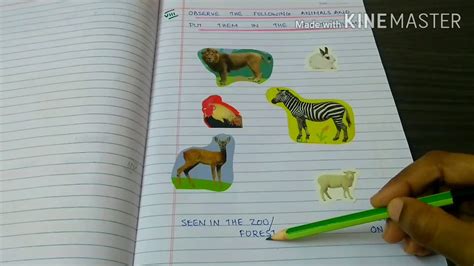 Evs Worksheets Class 2 Animals Our Friendsuseful Animals Youtube