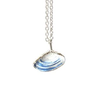 Pipi Shell Necklace - Jewellery at The Vault NZ - NZ SOR