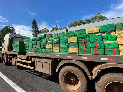 Fiscalização apreende quase duas toneladas de maconha escondidas no