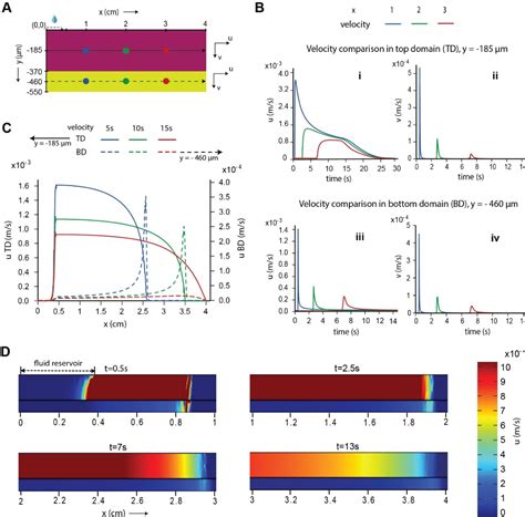 Figure 2 From Barrier Free Microfluidic Paper Analytical Devices For