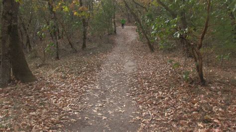 Dollar Mountain Trail - Ashland Trails