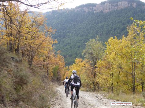 Avui Sempre D Cades De Muntanya Btt A La Serra D Auben