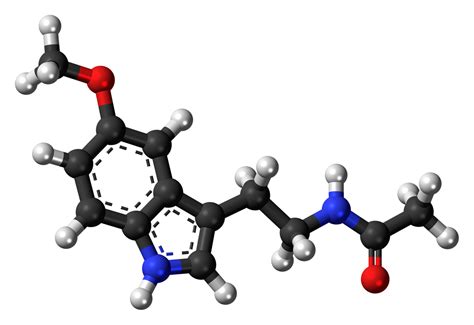 The Science Of Healthy Fats The World Is Waking Up To The Reality