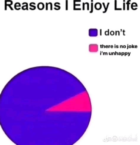 How Do You Enjoy Life Rdepressionmemes