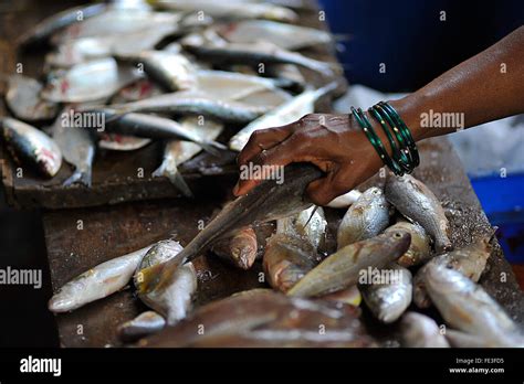India Goa Fish Market At Panaji Stock Photo Alamy