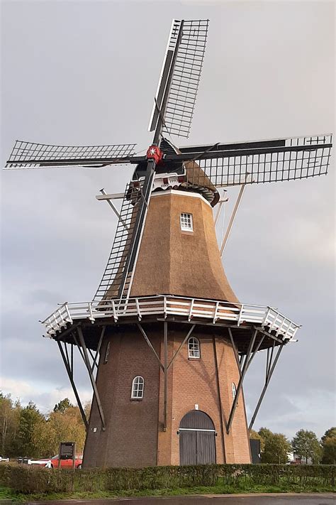 Foto Van De Hoop Sumar Suameer Guja Aberkrom In Het