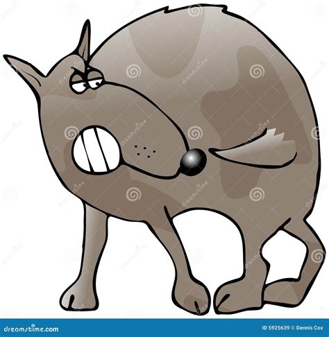 Dog Chase Tail Vector Illustration 34789248