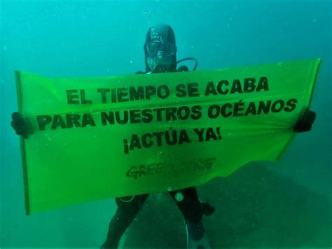 Protegiendo Océanos Desde Decenas De Localidades Es Greenpeace España